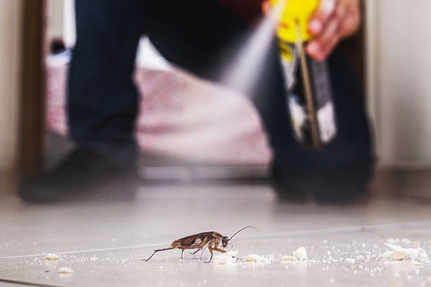 Best Cockroach Control Services  in Lauderdale Lakes, FL